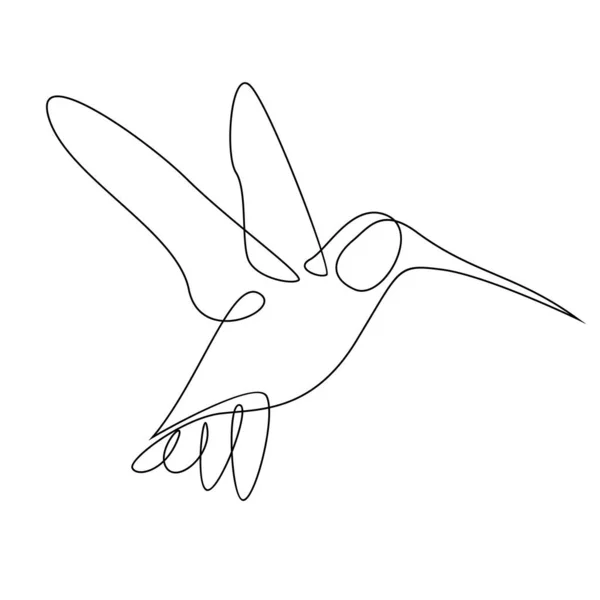 Sinekkuşu Çizgi Resimleme Şablonu — Stok Vektör