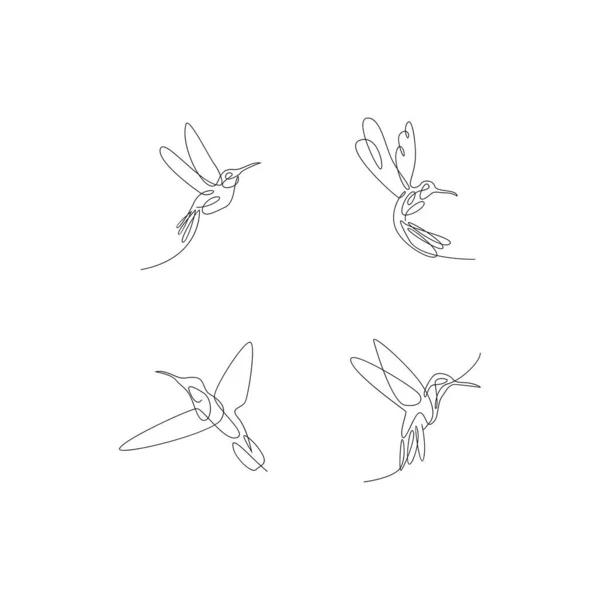 Hummingbird Line Illustration Template — Stock Vector