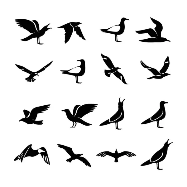 Seagull Silhouette Black White Logo Icon Design Template — Stock Vector