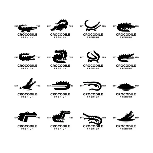 Ikona Krokodyla Wzór Ilustracji Szablon Grafika Wektorowa