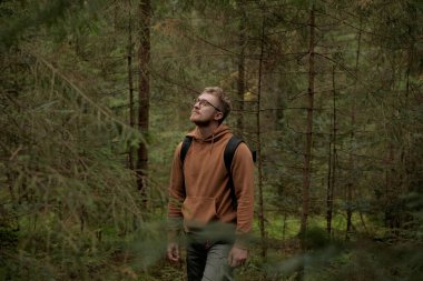 Kozalaklı ormanda sonbahar yürüyüşü, gözlüklü adam.