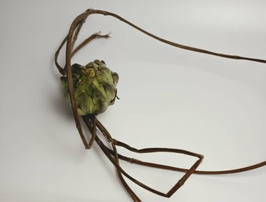 Sağlıklı enginar ve asma natürmort