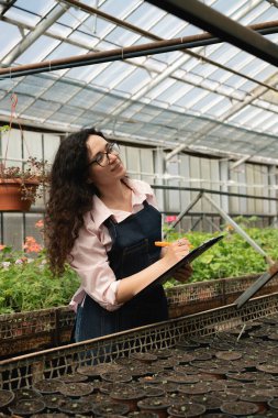 Sera işçisi pano ile bitki büyümesini belgeliyor