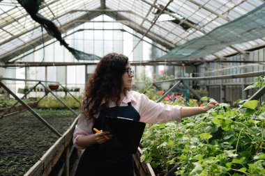 Kadın fideleri kontrol ediyor ve serada sonuç yazıyor.