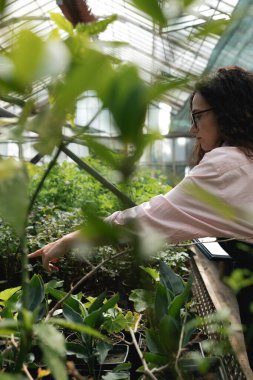 Dişi tarım uzmanı bitkilerle çevrili serada notlar alıyor.