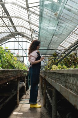 Modern serada bitki araştırmaları yapan kadın.