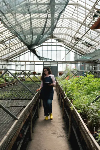 Sera işçisi pano ile bitki büyümesini belgeliyor