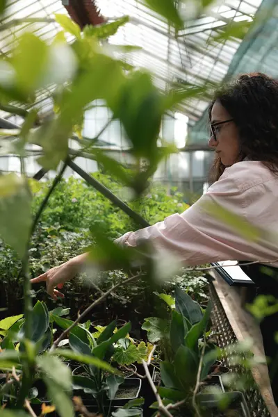 Dişi tarım uzmanı bitkilerle çevrili serada notlar alıyor.