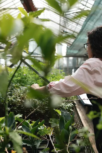 Dişi tarım uzmanı bitkilerle çevrili serada notlar alıyor.