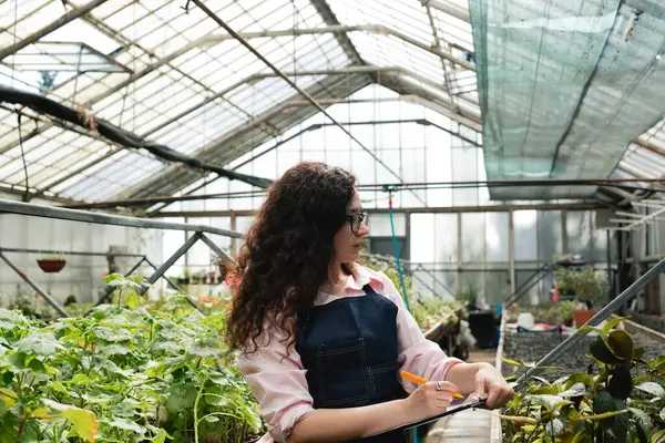 Serada bitkilerin büyümesini izlerken not alan kadın