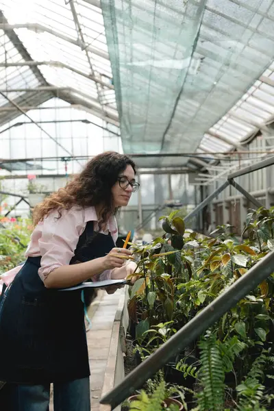 Sera ortamında gözlemler yazan kadın bahçıvan.
