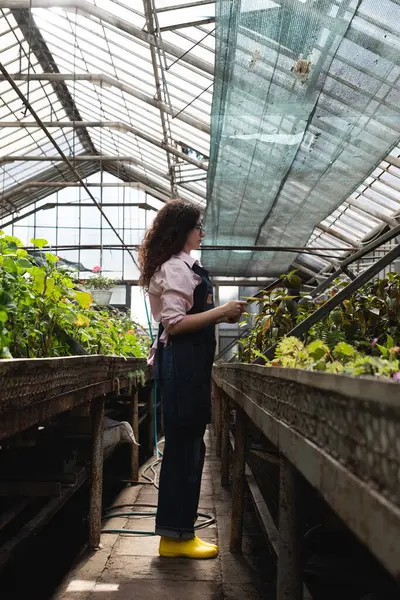 Modern serada bitki araştırmaları yapan kadın.