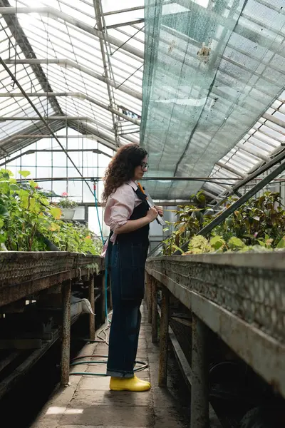 Modern serada bitki araştırmaları yapan kadın.