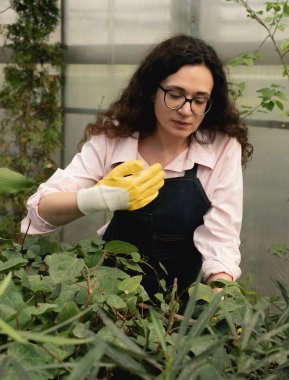 Serada bitkilerle çalışan bir kadın.