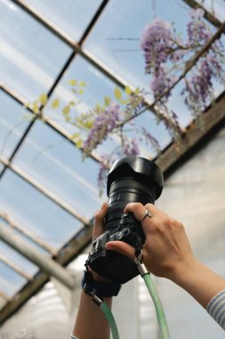 Botanik bahçesi florasını belgeleyen fotoğrafçı.