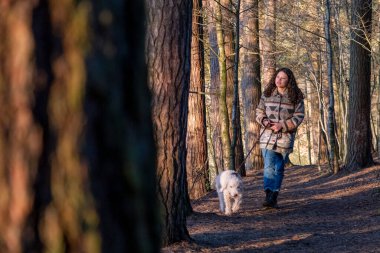Genç kadın ormanda köpeği gezdiriyor.