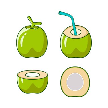 Bir dizi taze hindistan cevizi çizim şablonu