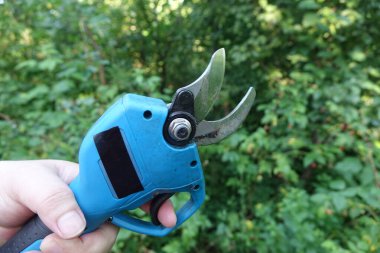 Bahçede elektrikli budama makinesi tutan bir erkek. Bahçecilik elektrikli araç gereç.