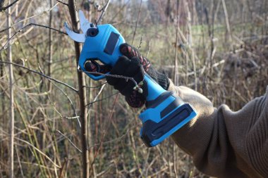 Elektrikli budama makası ile erkek eli ağaçları buduyor. Bahçecilik elektrikli araç gereç.