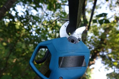 Elektrikli budama makası ile ağaçları budamak. Bahçecilik elektrikli araç gereç.