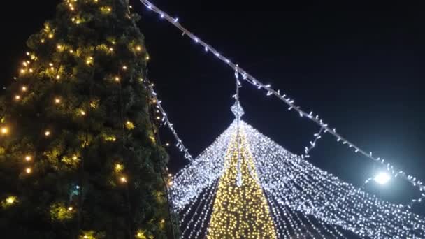 Wieszanie Dekoracyjnych Lampek Imprezę Świąteczną Jasna Choinka Dekoracja Zimowe Wakacje — Wideo stockowe