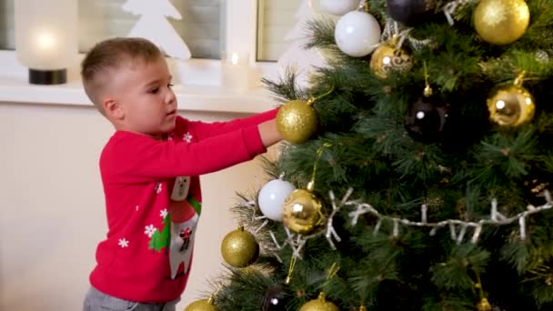 Lindo Hijo Decorando Árbol Navidad Con Padre Sala Estar Noche Clip De Vídeo