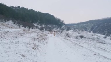 Üç mutlu arkadaş grubu kış parkında birlikte yürüyüp eğleniyor, mutlu tatiller..