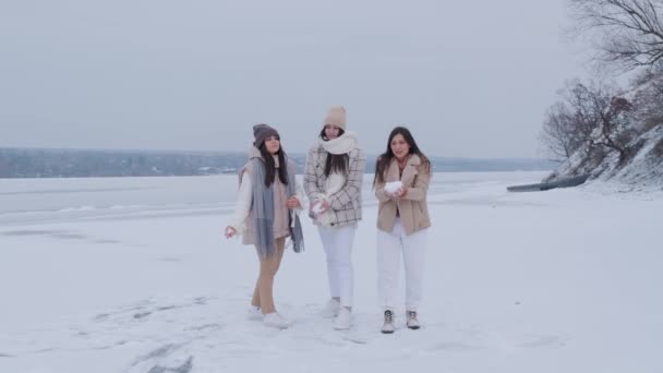 Grupo Tres Mujeres Felices Divirtiéndose Jugando Con Nieve Parque Invierno Vídeos De Stock Sin Royalties Gratis