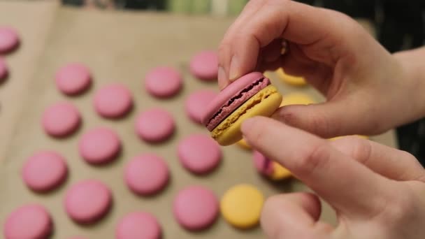 Chef Makes Macaroons Prepared Baking Sheet Pastry Chef Show Result — Stock Video