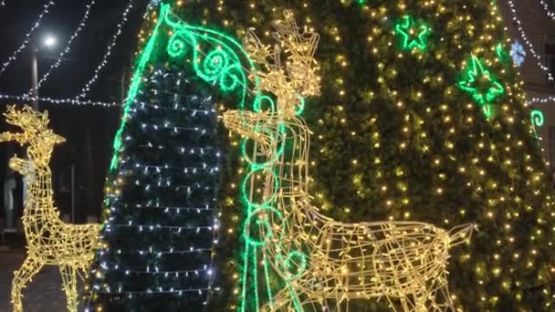 クリスマスパーティー 軽い木 冬の休日のための外の装飾用ライトをぶら下げる — ストック動画