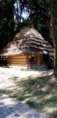 Ormandaki eski ahşap ev