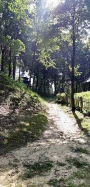 Parkın güzel manzarası