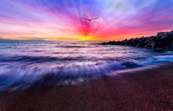 Bird Silhouettes Flying Colful Ocean Sunset Sun Rays — Stock fotografie