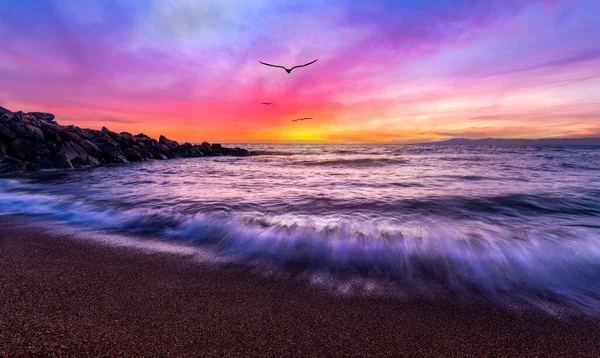 Oceaan Landschap Zonsondergang Met Vogels Vliegen Naar Een Kleurrijke Romantische — Stockfoto