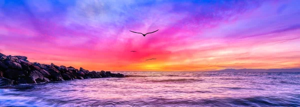 カラフルなロマンチックな空に向かって飛ぶ鳥と海の景色の夕日バナー画像 ロイヤリティフリーのストック画像