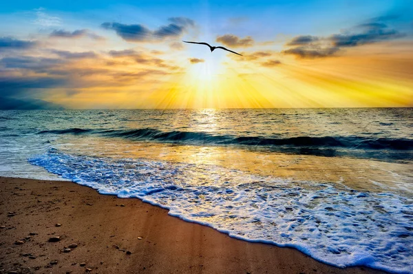 Puesta Sol Del Paisaje Oceánico Con Aves Volando Hacia Cielo Imagen De Stock