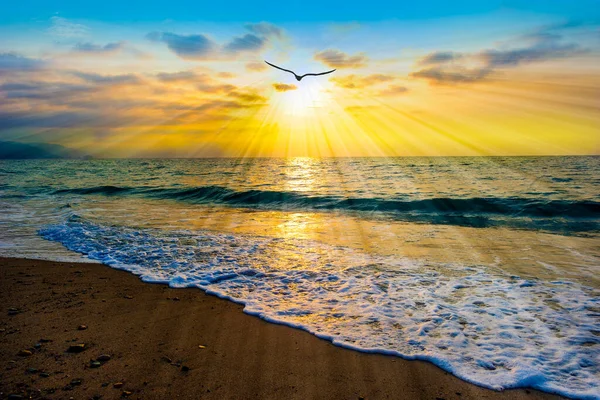 カラフルなロマンチックな空に向かって飛ぶ鳥と海の景色の夕日バナー画像 ストックフォト