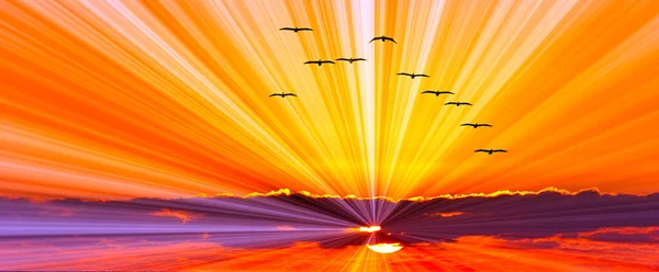 Ptáci Křídly Plně Šíří Vznáší Nad Golden Sun Ray Plněné — Stock fotografie