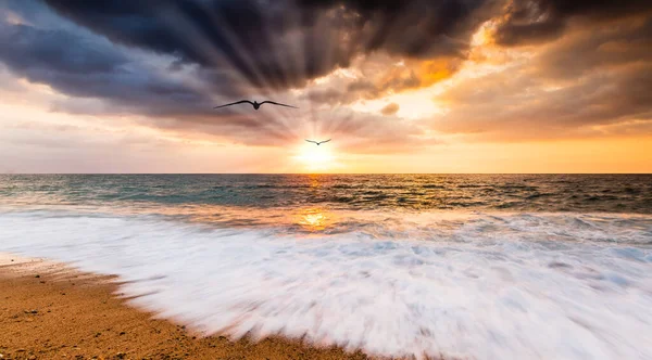 Ocean Krajobraz Zachód Słońca Ptakami Latającymi Kierunku Kolorowego Romantycznego Nieba — Zdjęcie stockowe