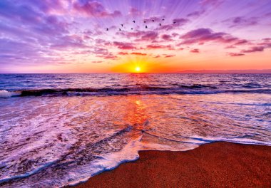 Sahile doğru gelen dalgalı renkli bir Tropikal Gündoğumu Sahil Okyanusu manzarası