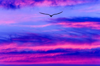 Gün batımında renkli bulutların üzerinde bir kuş sürüsü yükseliyor.