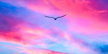 Gün batımında Renkli Bulutların üzerinde Bir Kuş Silueti Yükseliyor