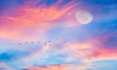 Birds Flying By Full Moon clipart