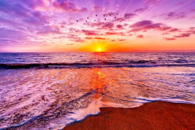 Renkli Güneş Işıkları Renkli Sahilde Okyanus Ufkundan Emanete Geçiyor