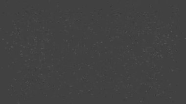 Uçan Sinekler - 3d Simülasyon ve Hazırlama