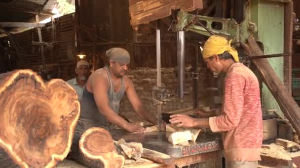 インド マハラシュトラ州ナグプル2023年1月25日 インド ソーミルで製材所労働者が木材を切断 — ストック動画