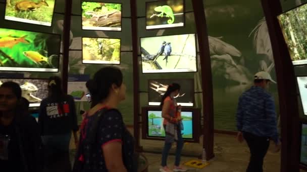 Narmada Gujarat Índia Março 2022 Turistas Museu Galeria Dentro Estátua — Vídeo de Stock