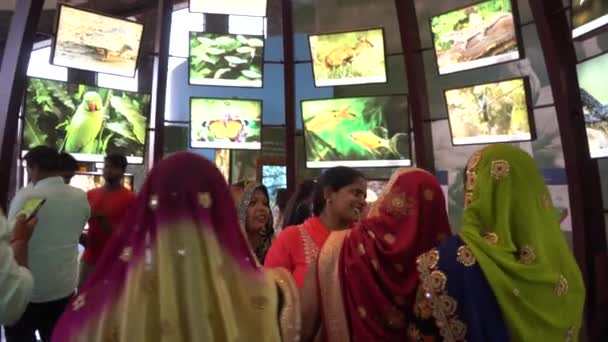 나르마다 구아랏 2022년 17일 지도자 사르다르 Vallabhbhai Patel에 전념하는 세계에서 — 비디오