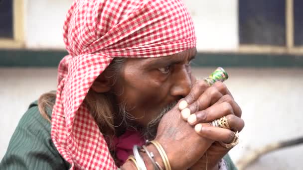 Vrindavan India September 2022 Sadhu Religious Ascetic Holy Person Smoking — Stock Video