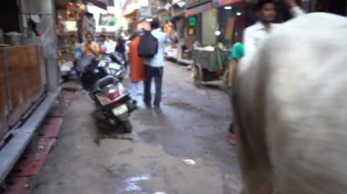 VRINDAVAN, INDIA 01 Eylül 2022: Vrindavan pazarının sokaklarında yerel pazar, tedarikçiler ve dindarlar.
